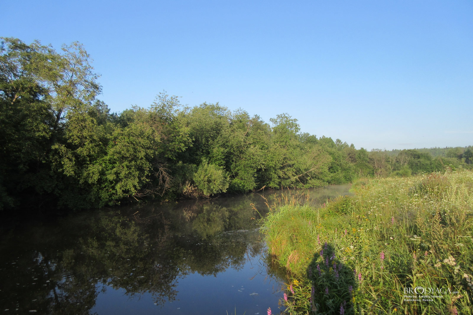 Kadnikovo (Кадниково)
